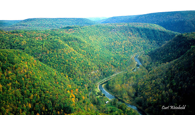 Savage River Savage River Fly Fishing