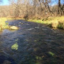 NE Iowa Trout Stream Driftless